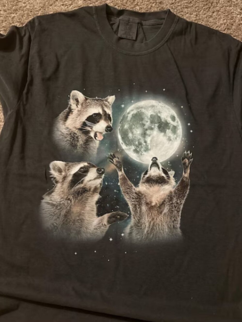 Black  Raccoon Funny Graphic T-Shirt-Size XL